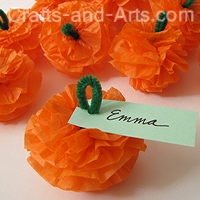 paper tissue flower craft
