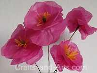Tissue Paper Poppies Craft