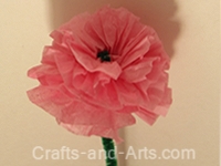 Ranunculus Tissue Paper Flower Craft