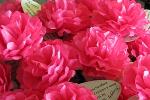 Tissue Paper Flowers crafts